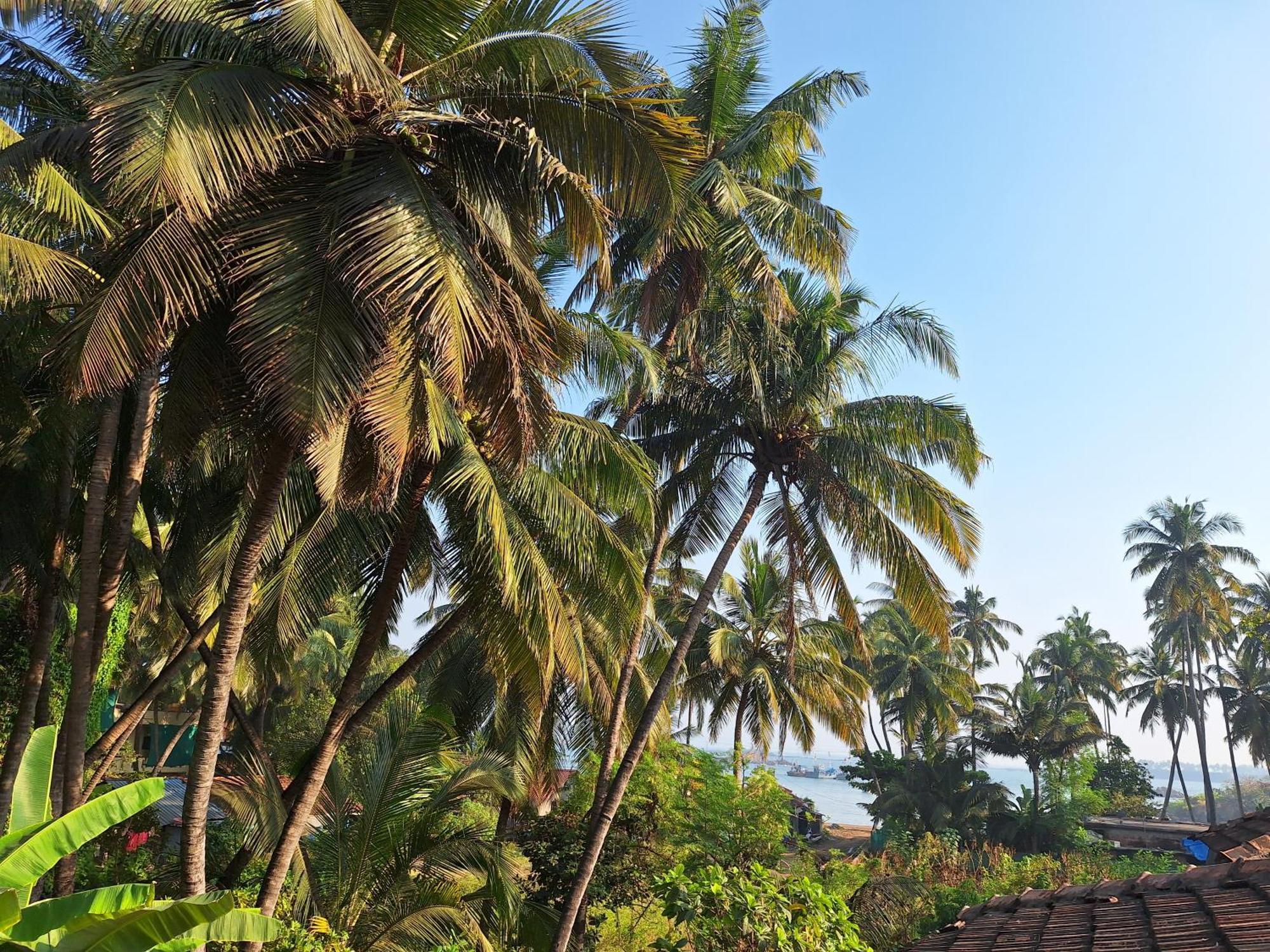 Anand Nivas Homestay Mālvan Buitenkant foto